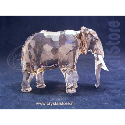 SCS Annual Edition 2022 Elephant Fayola - signed