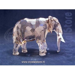 SCS Annual Edition 2022 Elephant Fayola