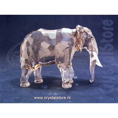 SCS Annual Edition 2022 Elephant Fayola
