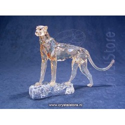 SCS - Annual Edition 2023 - Cheetah Mehira