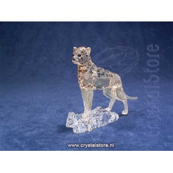 SCS - 2023 - Cheetah Baby Jabari