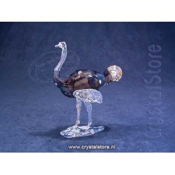 Elegance of Africa SCS Ostrich Makena
