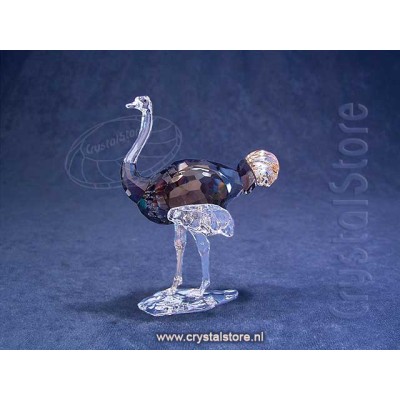 Elegance of Africa SCS Ostrich Makena