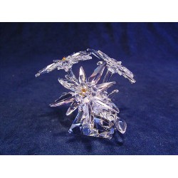 Edelweiss