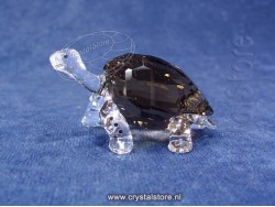 SCS Galapagos Tortoise 