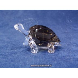 SCS Galapagos Tortoise 