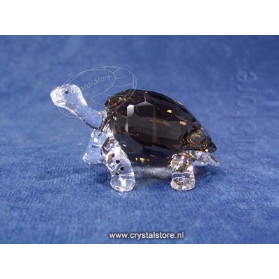 SCS Galapagos Tortoise 
