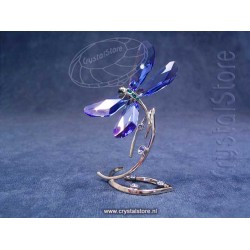 SCS Dragonfly Event piece 2014