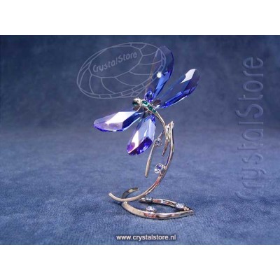 SCS Dragonfly Event piece 2014