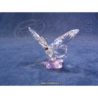 SCS Butterfly (Event Piece 2013)