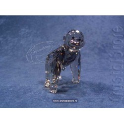 Gorilla Cub SCS