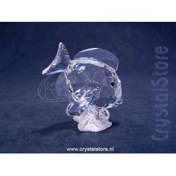 Tang Fish Clear