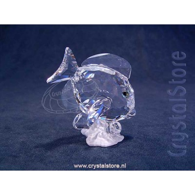 Tang Fish Clear