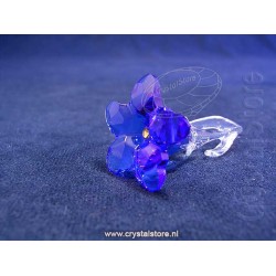 Enzian Flower