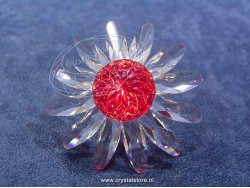 Margriet rood
