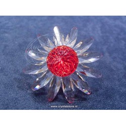 Margriet rood