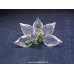Orchid - Renewal gift 2013