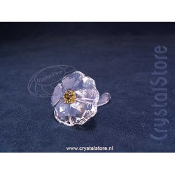 SCS Wild Flower