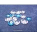 Scallop Renewal gift 2006