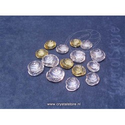 Tolhoorn Schelpen - Mini