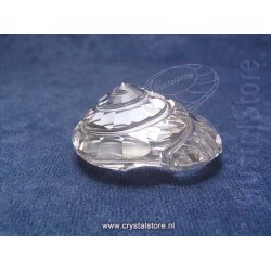 Top Shell  Renewal gift 2007