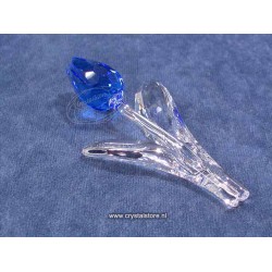 Tulp blauw 