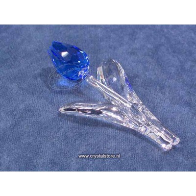 Tulp blauw 