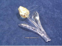 Tulip yellow