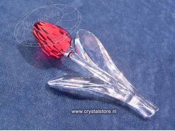 Tulp rood 