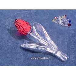Tulp rood met 9 kleine tulpjes 