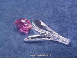 Tulip pink