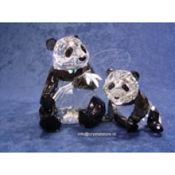 Annual Edition 2008 Pandas