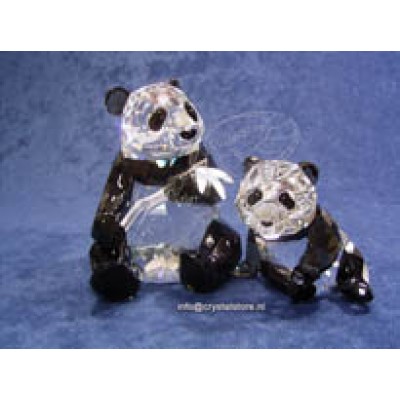 Annual Edition 2008 Pandas