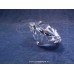 SCS Xirius Chaton 2015
