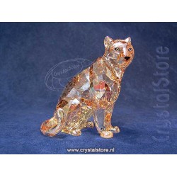 SCS - Annual Edition 2019 Amur Leopard Sofia