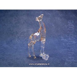 SCS - Giraffe Baby