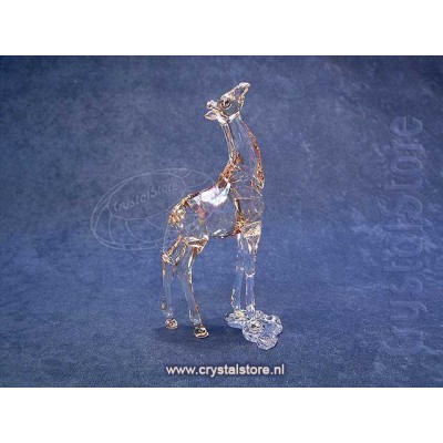 SCS - Giraffe Baby