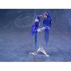 SCS - Hyacinth Macaws