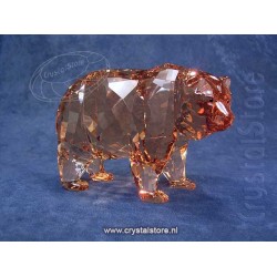 SCS - Annual Edition 2017 Bear Arcadia
