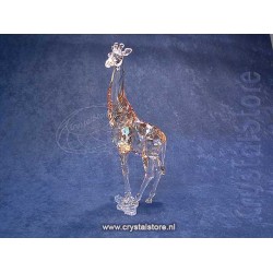 SCS - Annual Edition 2018 - Giraffe Mudiwa