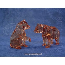 SCS - Bear Cubs