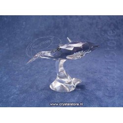SCS  Young Whale