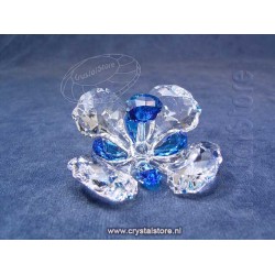 SCS - Peacock Flower