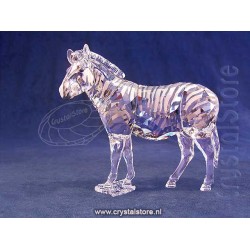 SCS Annual Edition 2021 Zebra Amai