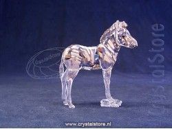 SCS Zebra Baby Zuri