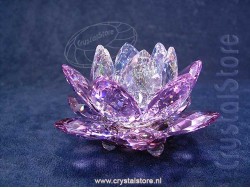 Waterlelie Kandelaar Violet