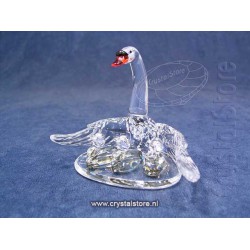 Swan Family
