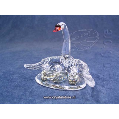 Swan Family