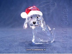 Hond met Kerstmuts