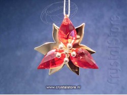 Kerstster Ornament Goudtint